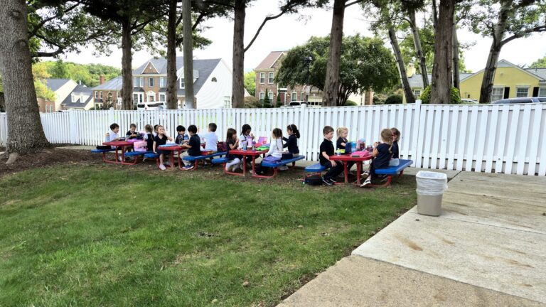 Primary students at the picnic tables